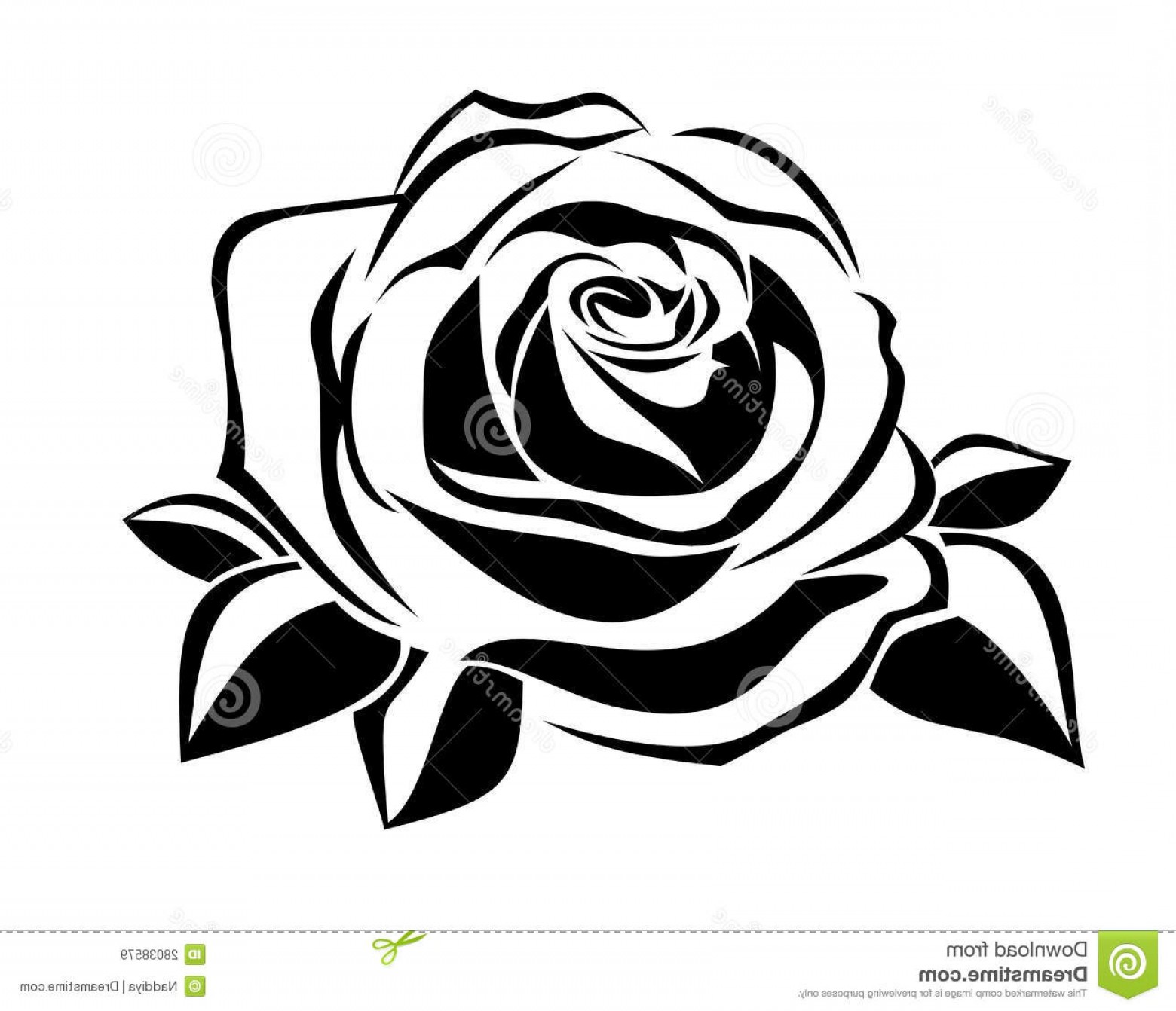 Royalty Free Stock Images Black Silhouette Rose Vector 1560x1342 Royalty Free Stock Images Black Silhouette Rose Vector
