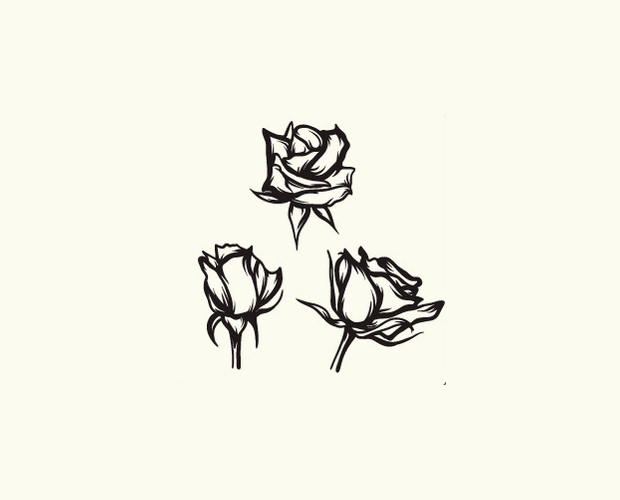 Rose Vectors 620x500 Rose Vectors