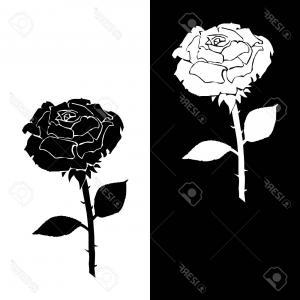 Simple Black Rose Icon On White Background Vector Catchsplace 300x300 Simple Black Rose Icon On White Background Vector Catchsplace