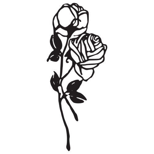 Two Roses Vector Image 500x500 Two Roses Vector Image