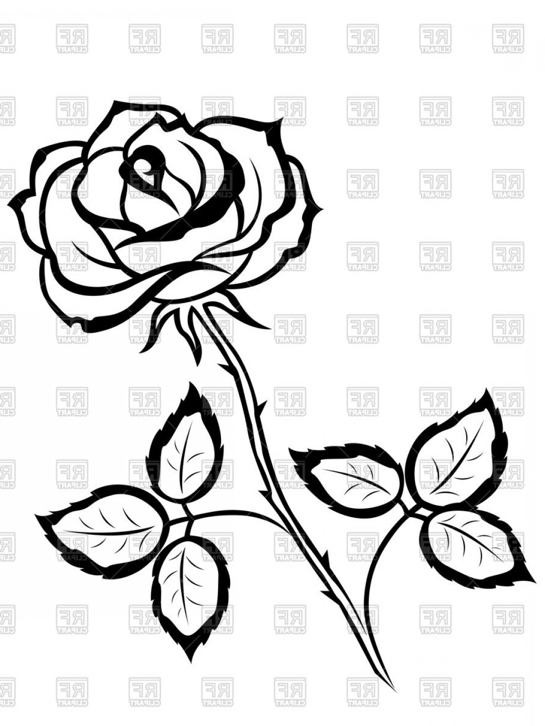 Black And White Rose Vector Graphics Catamart 1080x1440 Black And White Rose Vector Graphics Catamart