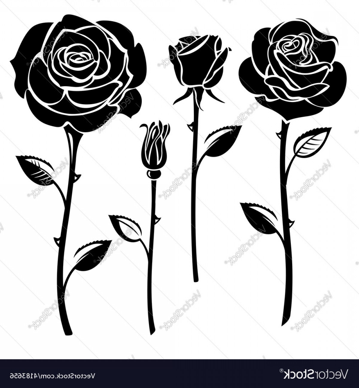 Black And White Roses Vector Hoodamathrun 1200x1296 Black And White Roses Vector Hoodamathrun