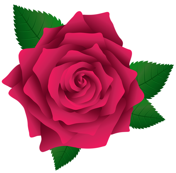 Pink Rose Vector Clipart Images Gallery For Free Download Myreal 600x590 Pink Rose Vector Clipart Images Gallery For Free Download Myreal