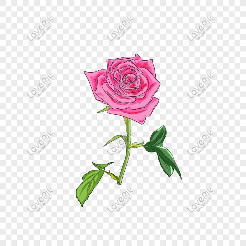Realistic Red Rose Vector Graphic Png Image Picture Free Download 860x860 Realistic Red Rose Vector Graphic Png Image Picture Free Download