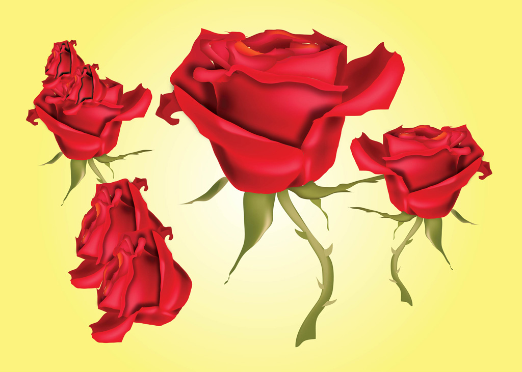 Red Roses Vector Illustrations Vector Art Graphics 1024x731 Red Roses Vector Illustrations Vector Art Graphics