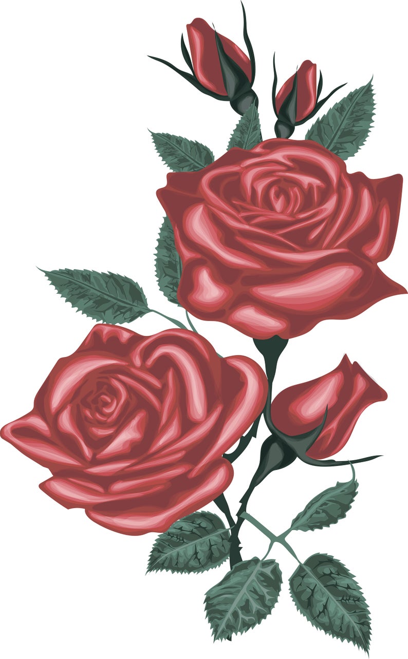 Rose Clipart Vector For Free Download And Use Images 794x1283 Rose Clipart Vector For Free Download And Use Images
