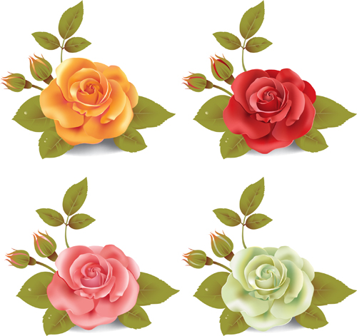 Different Colored Rose Vector Material Free Download 500x471 Different Colored Rose Vector Material Free Download