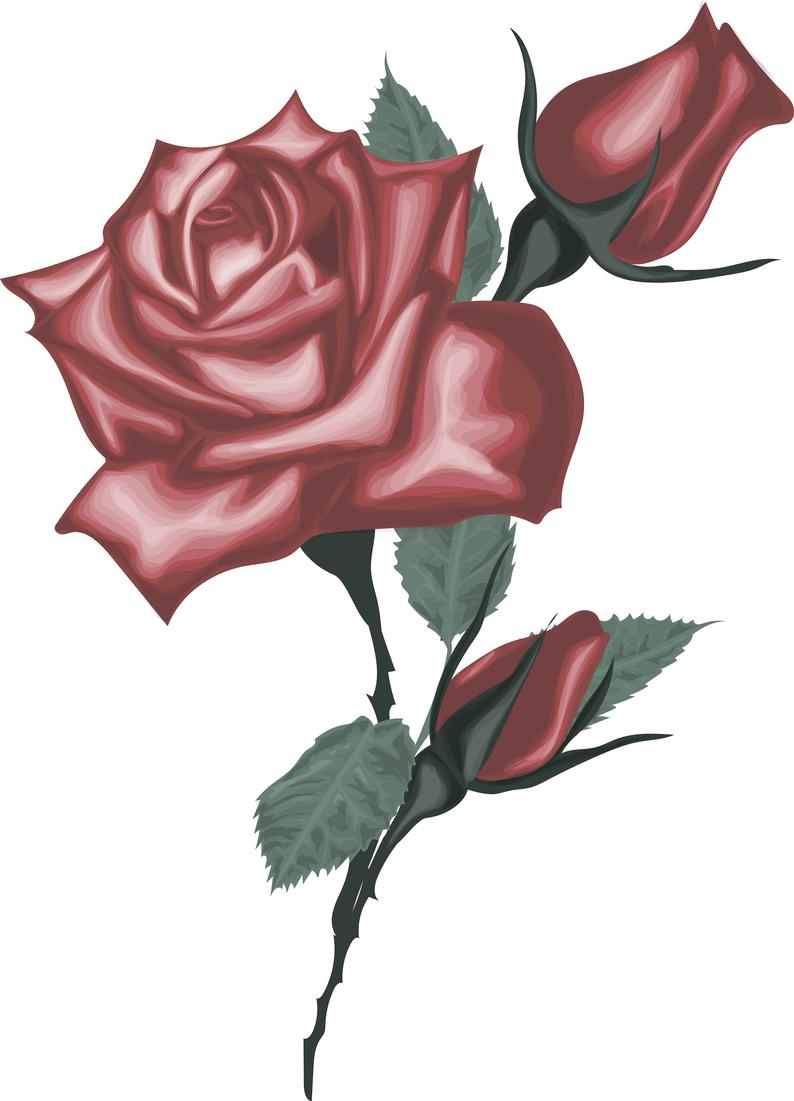 Rose Vector Image at Vectorified.com | Collection of Rose Vector Image ...