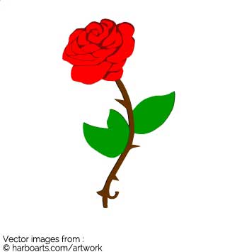 Download Red Rose 335x355 Download Red Rose