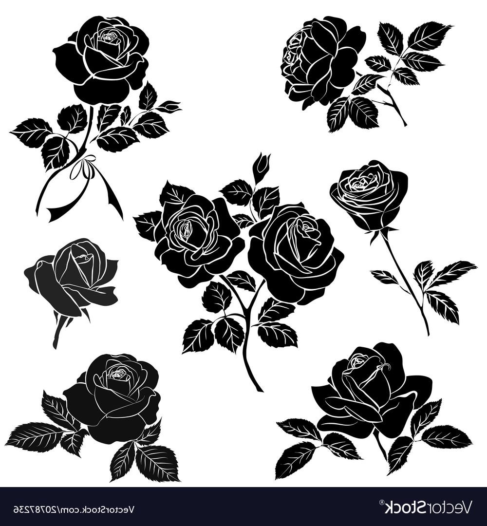 Hd Rose Vector Silhouette Free Vector Images Design 1000x1080 Hd Rose Vector Silhouette Free Vector Images Design