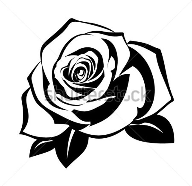 Rose Vectors 620x601 Rose Vectors