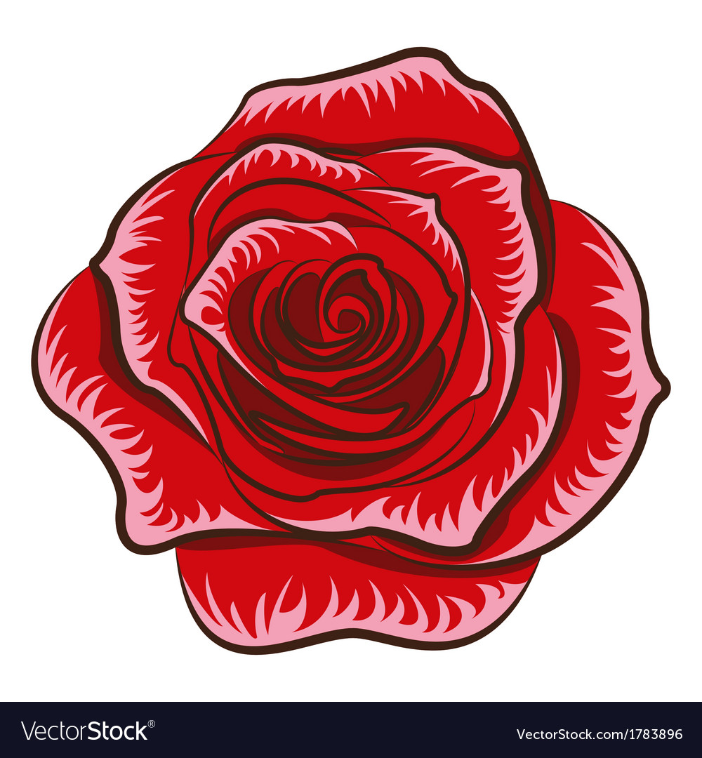 Rose Vector 1000x1080 Rose Vector