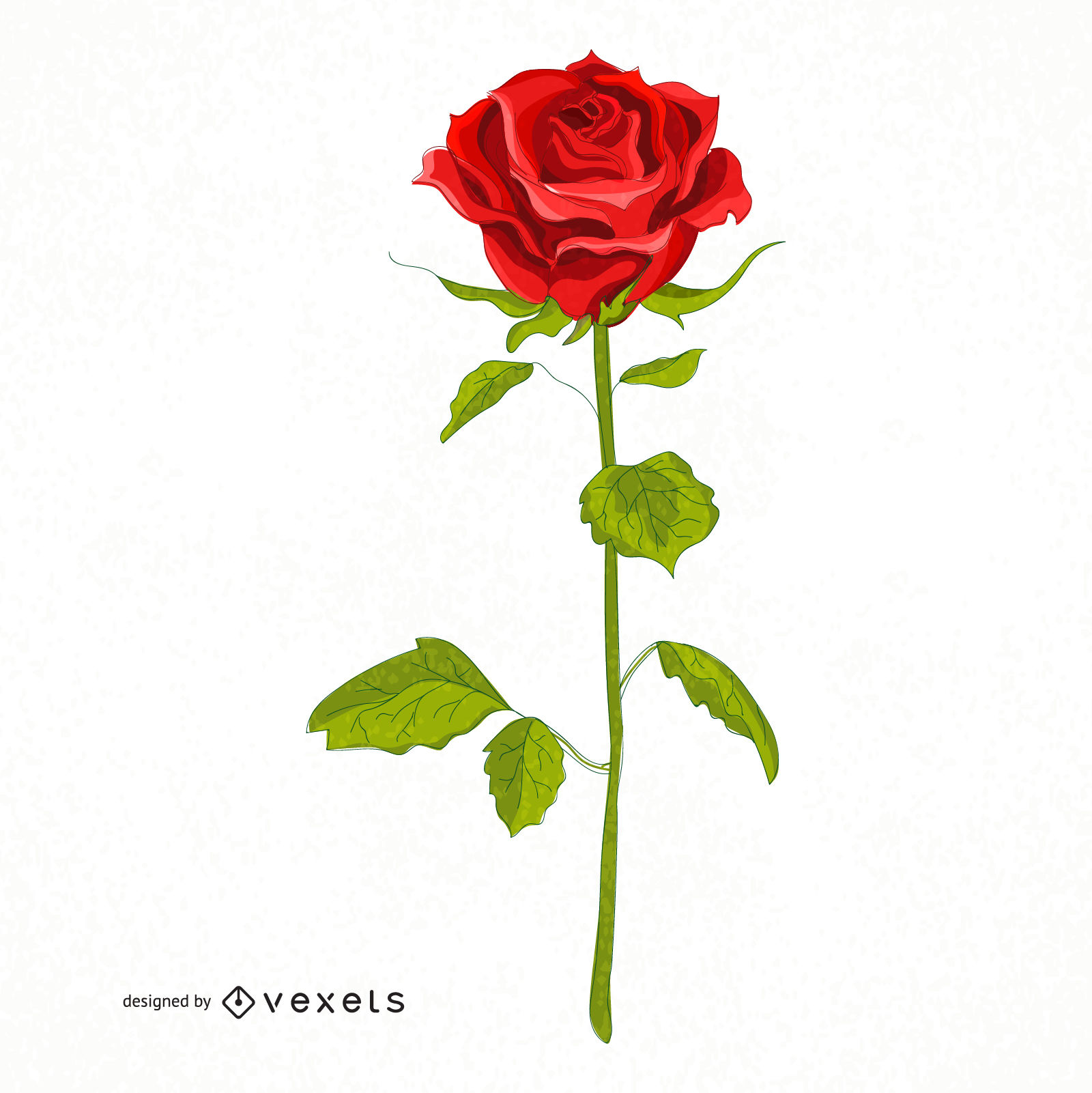 Rose Vector Graphics To Download 1600x1601 Rose Vector Graphics To Download