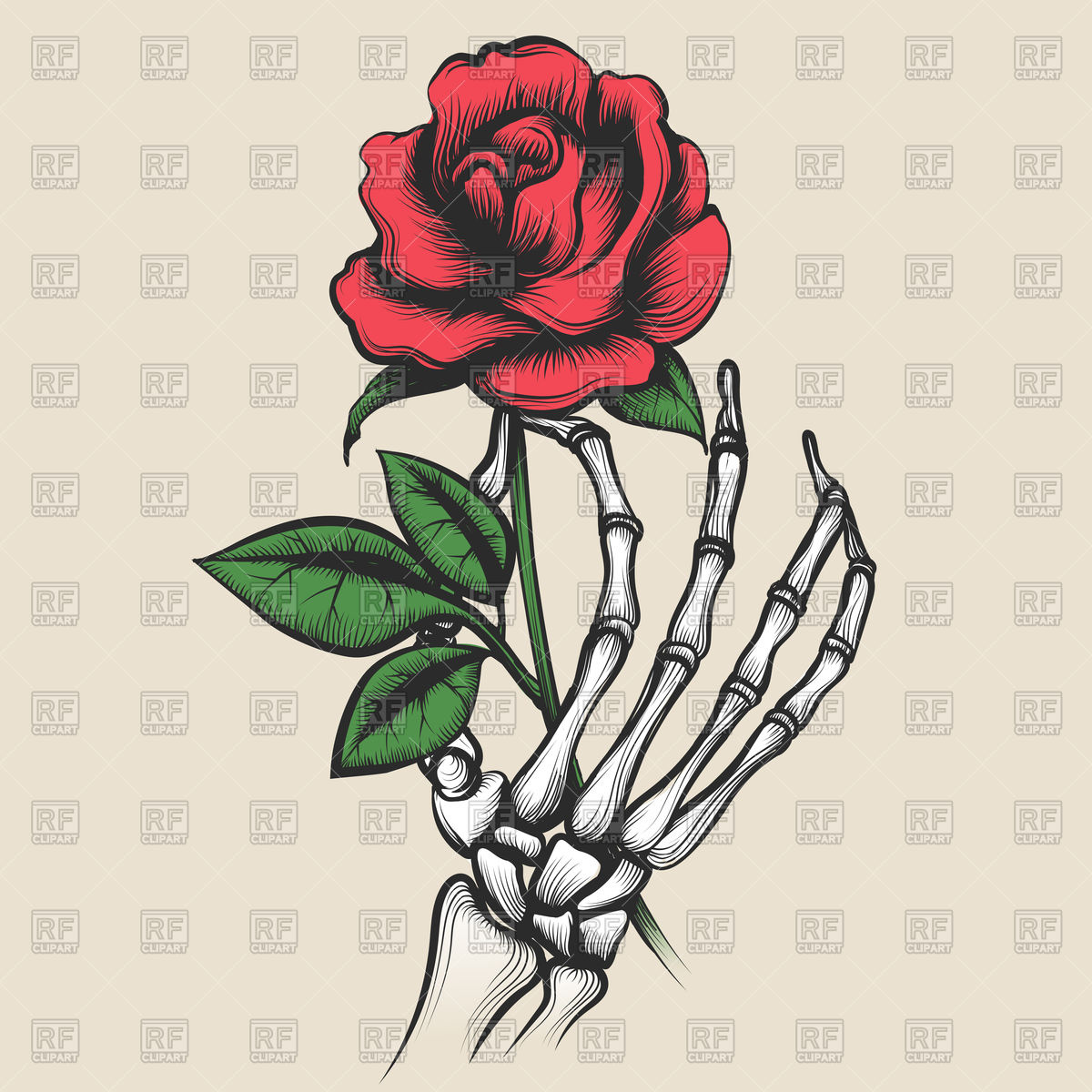 Skeleton Hand With Rose Vector Image Of Plants And Animals 1200x1200 Skeleton Hand With Rose Vector Image Of Plants And Animals