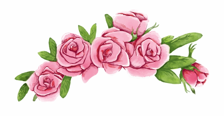 Vector Roses 920x479 Vector Roses