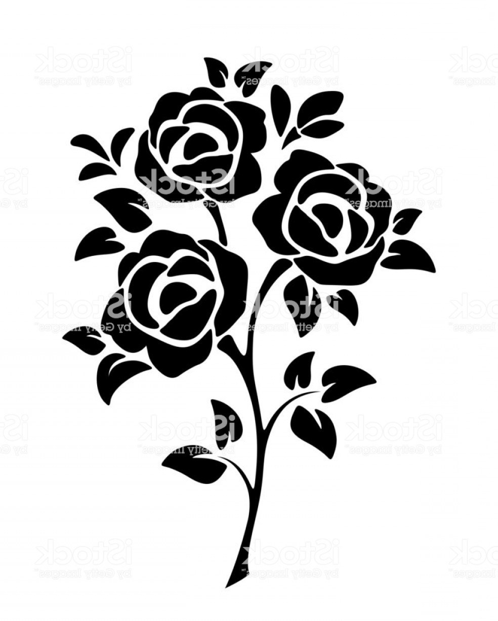 Black And White Rose Vector Hoodamathrun 984x1228 Black And White Rose Vector Hoodamathrun
