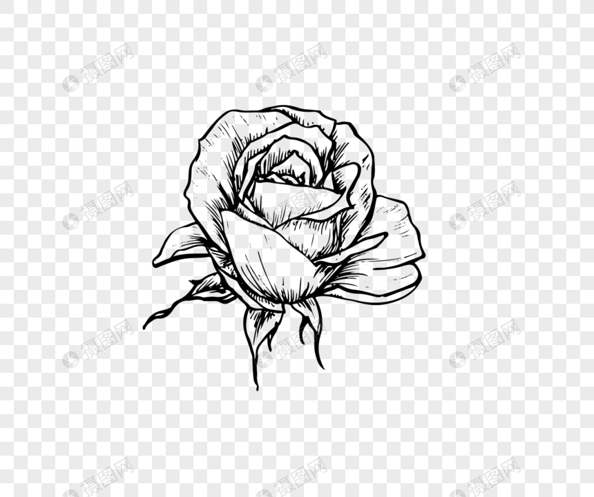 Black And White Fashion Art Rose Vector Material Png Image Picture 860x720 Black And White Fashion Art Rose Vector Material Png Image Picture