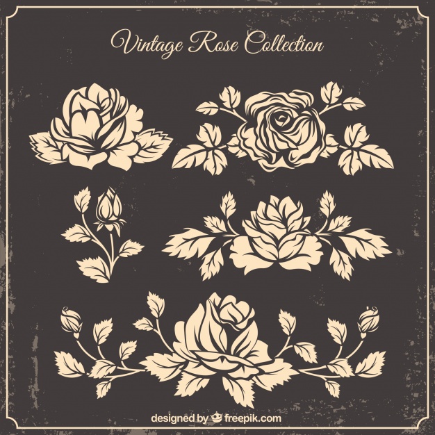 Vectors Of Roses Free Vector Graphics Everypixel 626x626 Vectors Of Roses Free Vector Graphics Everypixel