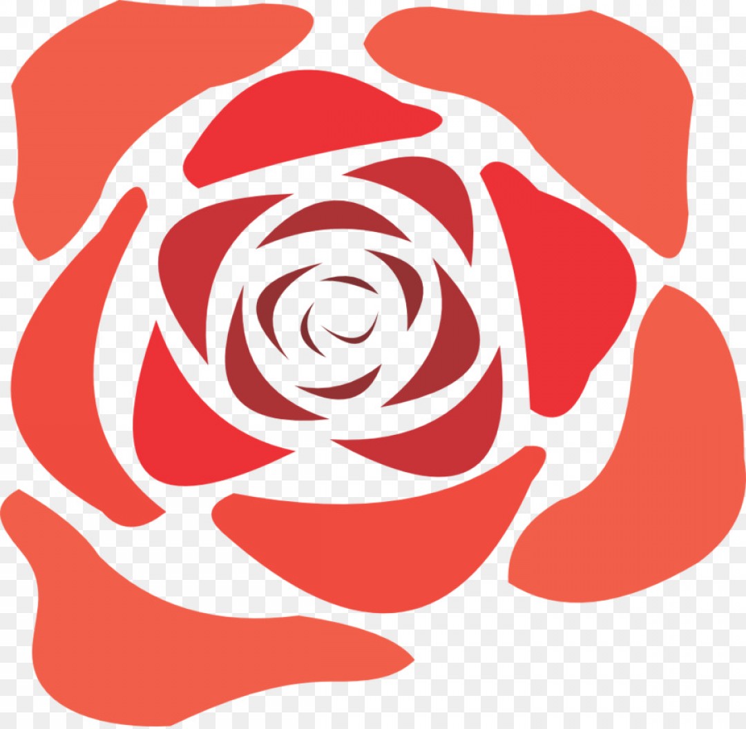 Png Rose Clip Art Rose Vector Png Soidergi 1080x1056 Png Rose Clip Art Rose Vector Png Soidergi