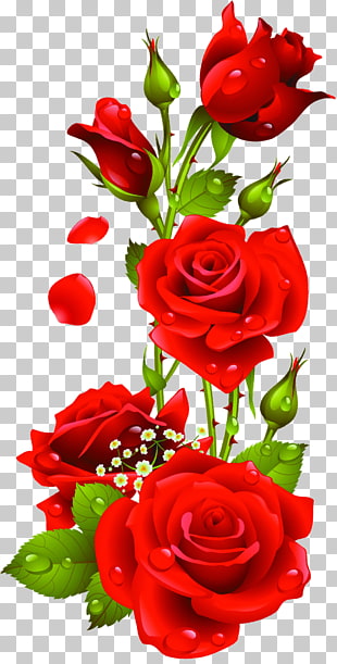 Rose Vector Png Png Cliparts For Free Download Uihere 310x611 Rose Vector Png Png Cliparts For Free Download Uihere