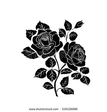 Rose Vector Png Images In Collection 450x470 Rose Vector Png Images In Collection