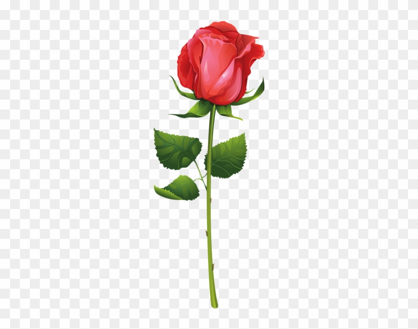 Rose With Stem Png Clip Art Image 840x661 Rose With Stem Png Clip Art Image