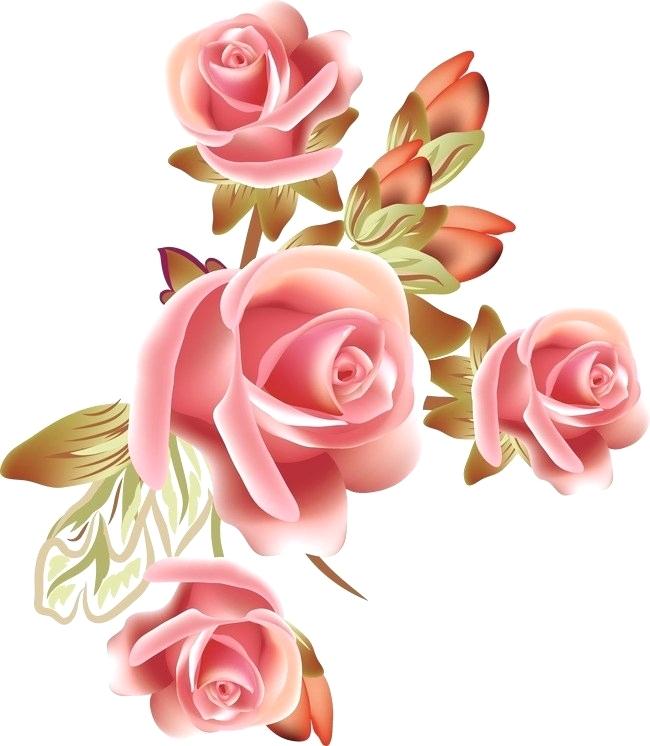 Rose Vector Png at Vectorified.com | Collection of Rose Vector Png free ...
