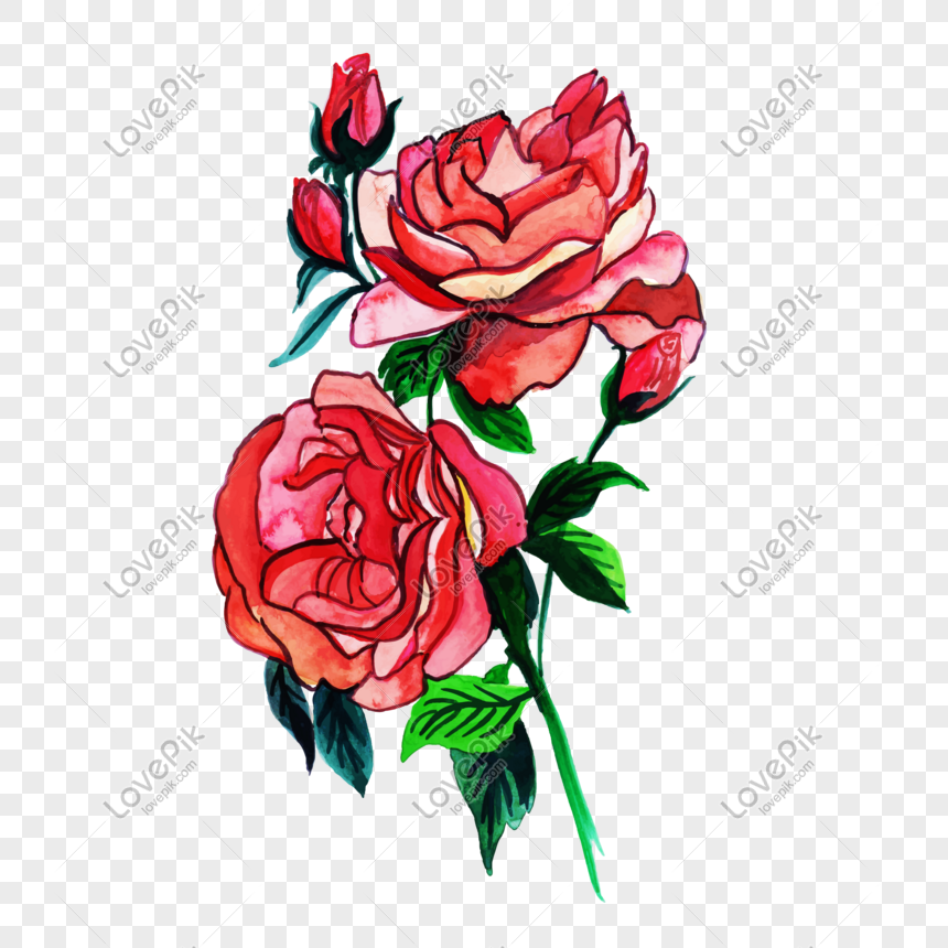 Cartoon Hand Drawn Rose Vector Material Png Image Picture Free 860x860 Cartoon Hand Drawn Rose Vector Material Png Image Picture Free
