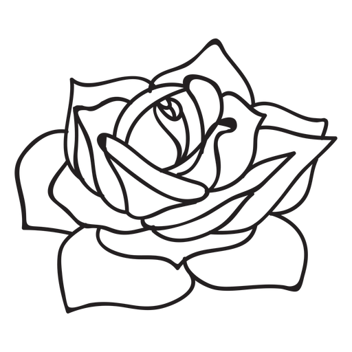 Flowering Rose Stroke Icon Flower 512x512 Flowering Rose Stroke Icon Flower
