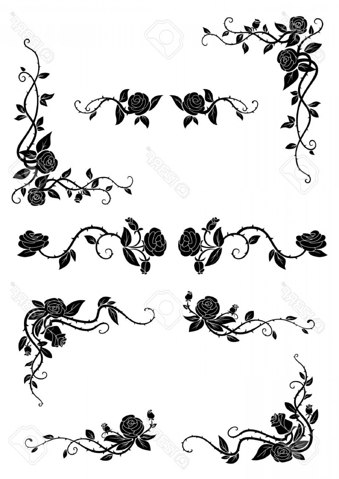 Rose Vine Vector at Vectorified.com | Collection of Rose Vine Vector ...