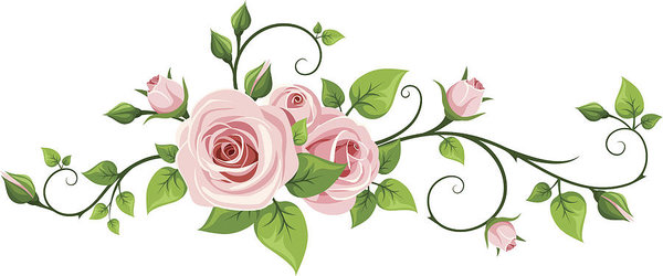 Pink Rose Vine Vector Illustration Art Print 600x250 Pink Rose Vine Vector Illustration Art Print