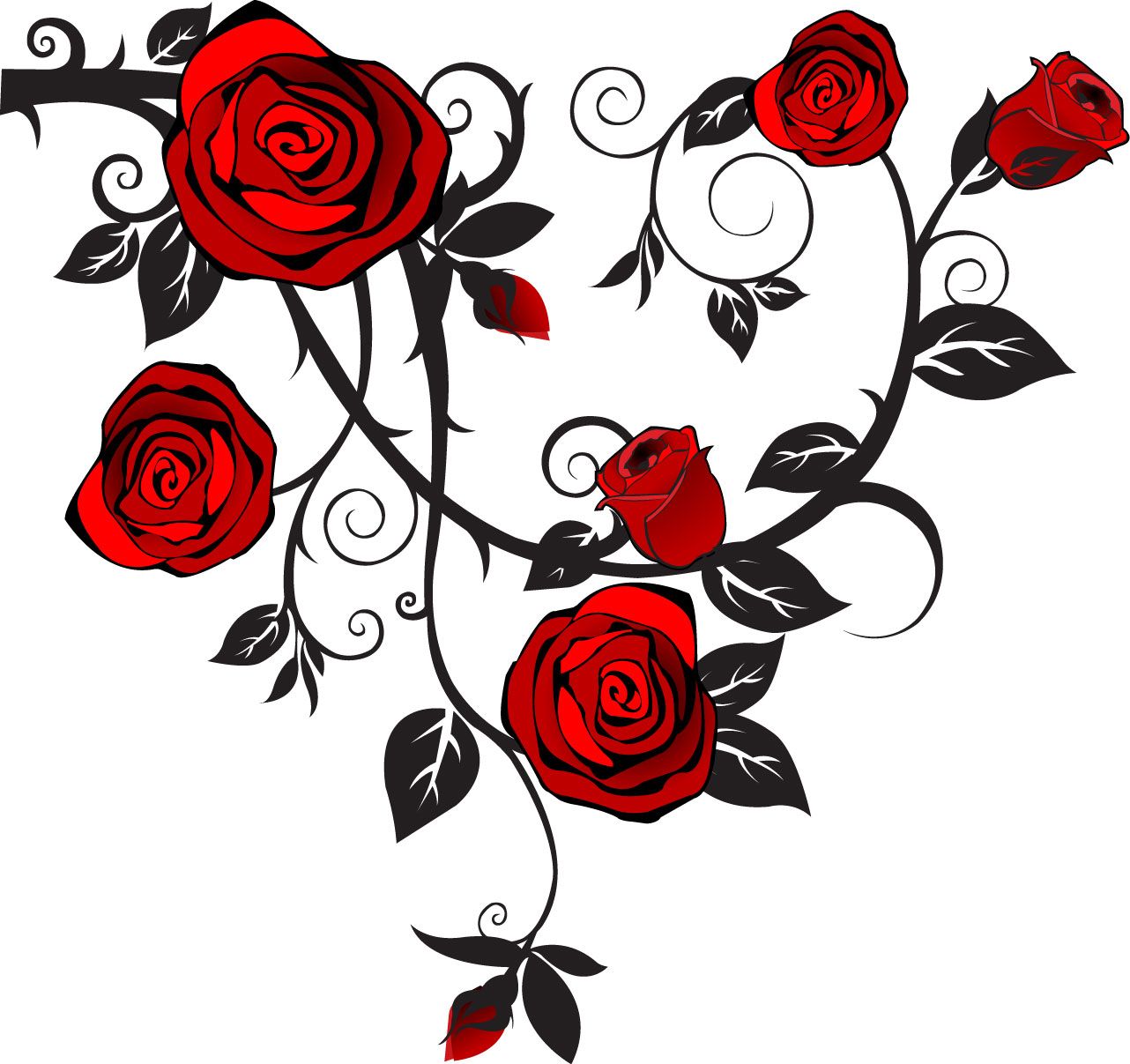 Rose Image 1282x1207 Rose Image