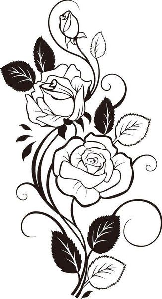Rose Vine Drawing Vector Art Dxf Free Download 326x600 Rose Vine Drawing Vector Art Dxf Free Download