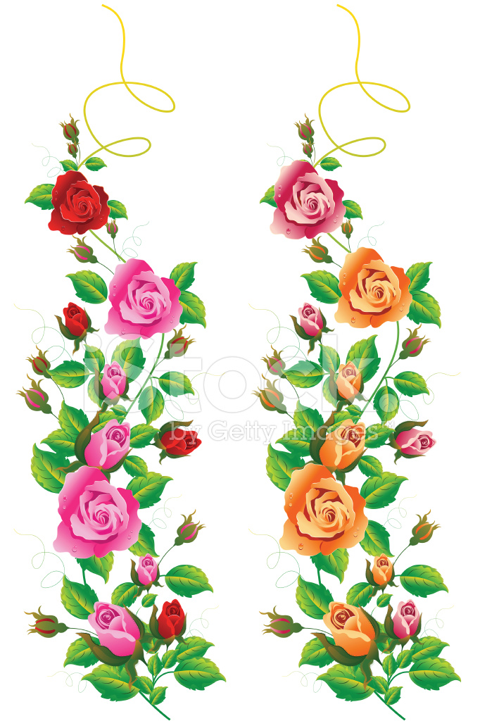 Rose Vine Stock Vector 682x1024 Rose Vine Stock Vector