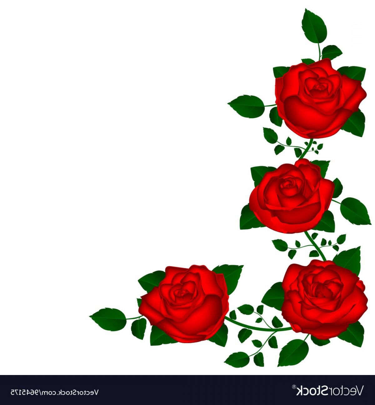 Vine Of Red Roses Vector Soidergi 1200x1296 Vine Of Red Roses Vector Soidergi