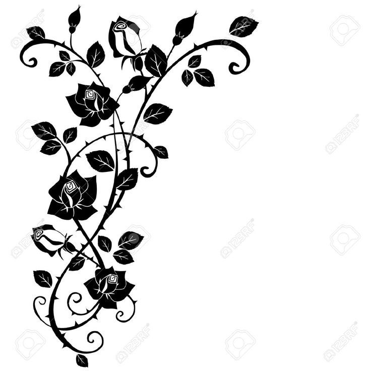 Download Free Roses Branch Vine Tattoo Vector Google 736x736 Download Free Roses Branch Vine Tattoo Vector Google