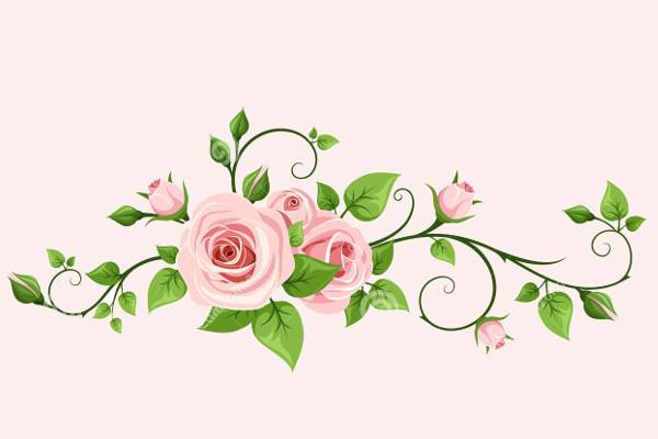 Rose Vines Vector