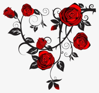 320x301 Rose Vines Png, Transparent Rose Vines Png Image Free Download