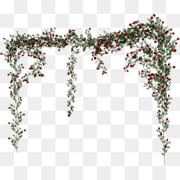 260x260 Rose Vines Png, Vectors, And Clipar