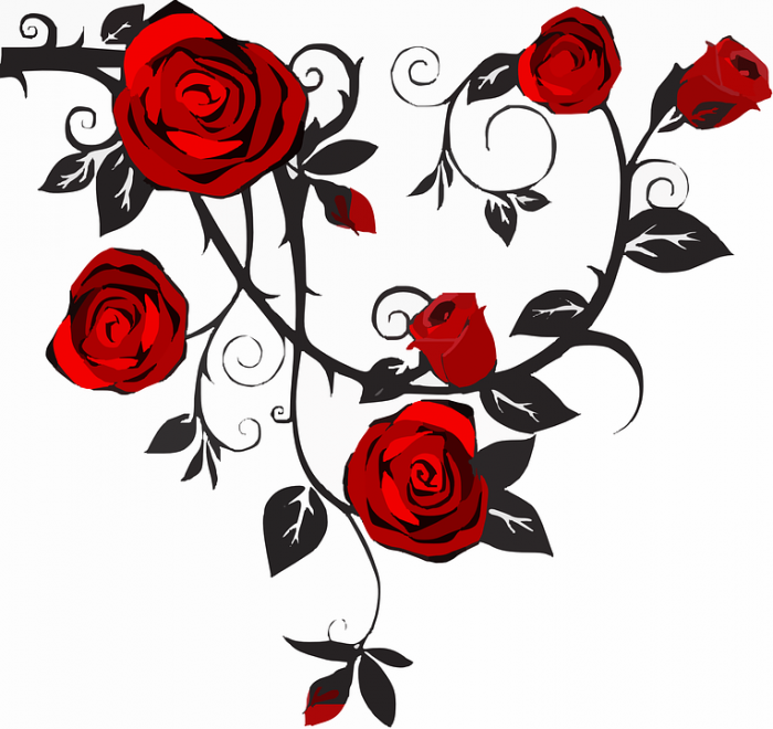 700x660 Rose Vines Png Vector, Clipart