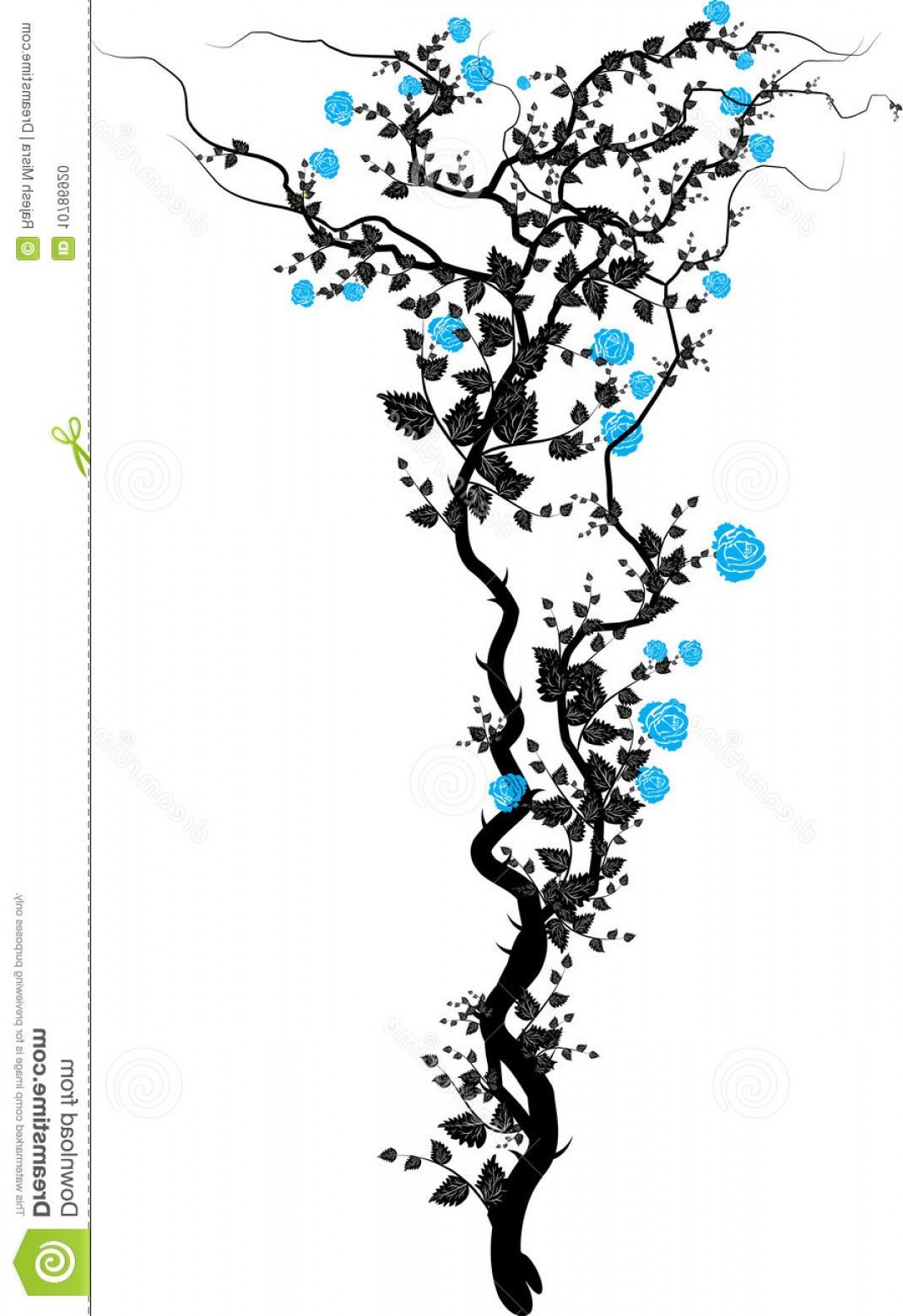 1070x1560 Thorny Vine Vector Clip Art Createmepink