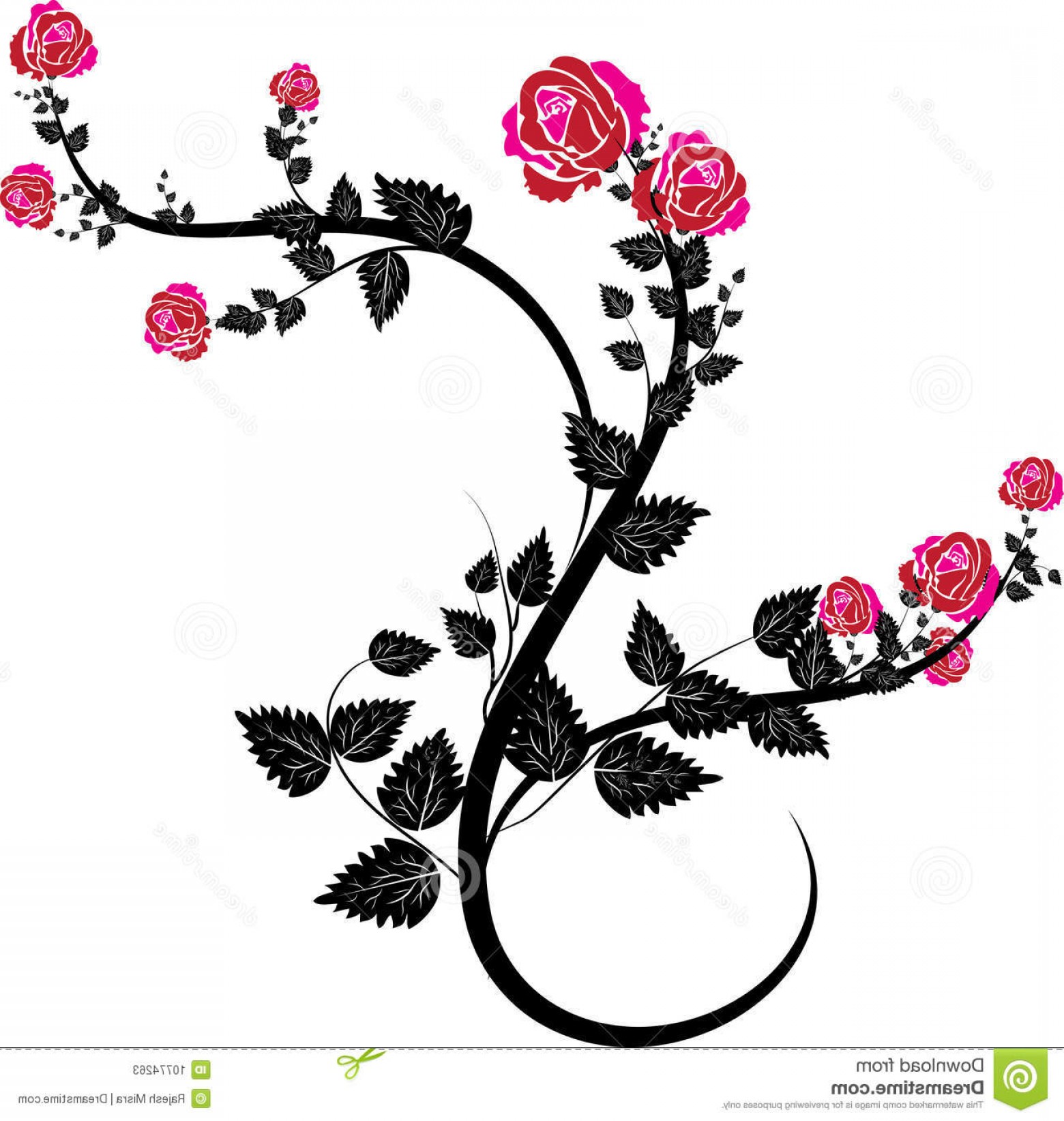 1560x1644 Vector Vine Tree Createmepink