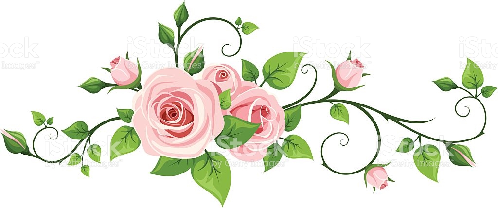 Rose Vines Vector at Vectorified.com | Collection of Rose Vines Vector