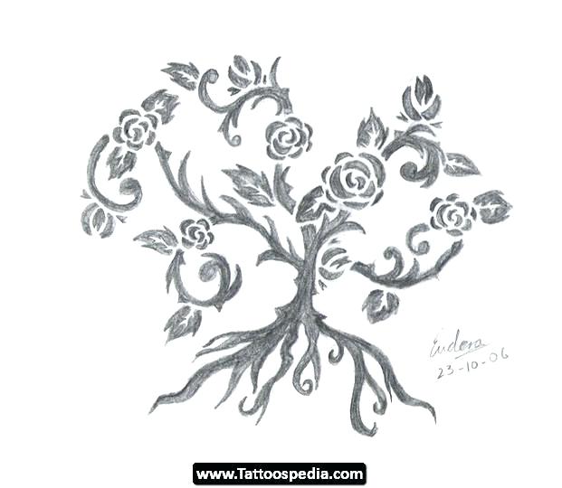 621x540 Drawings Of Vines