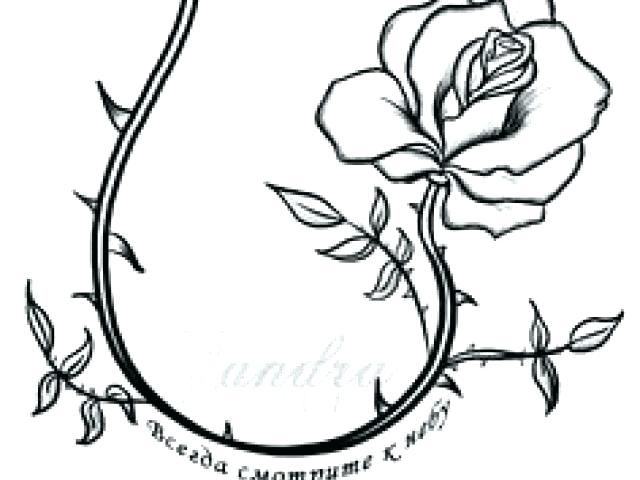 640x480 Flowers On Vines Vector