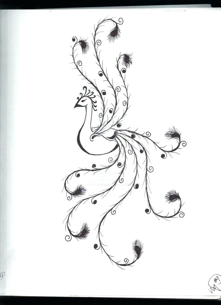 743x1024 Flowers Vines Vector