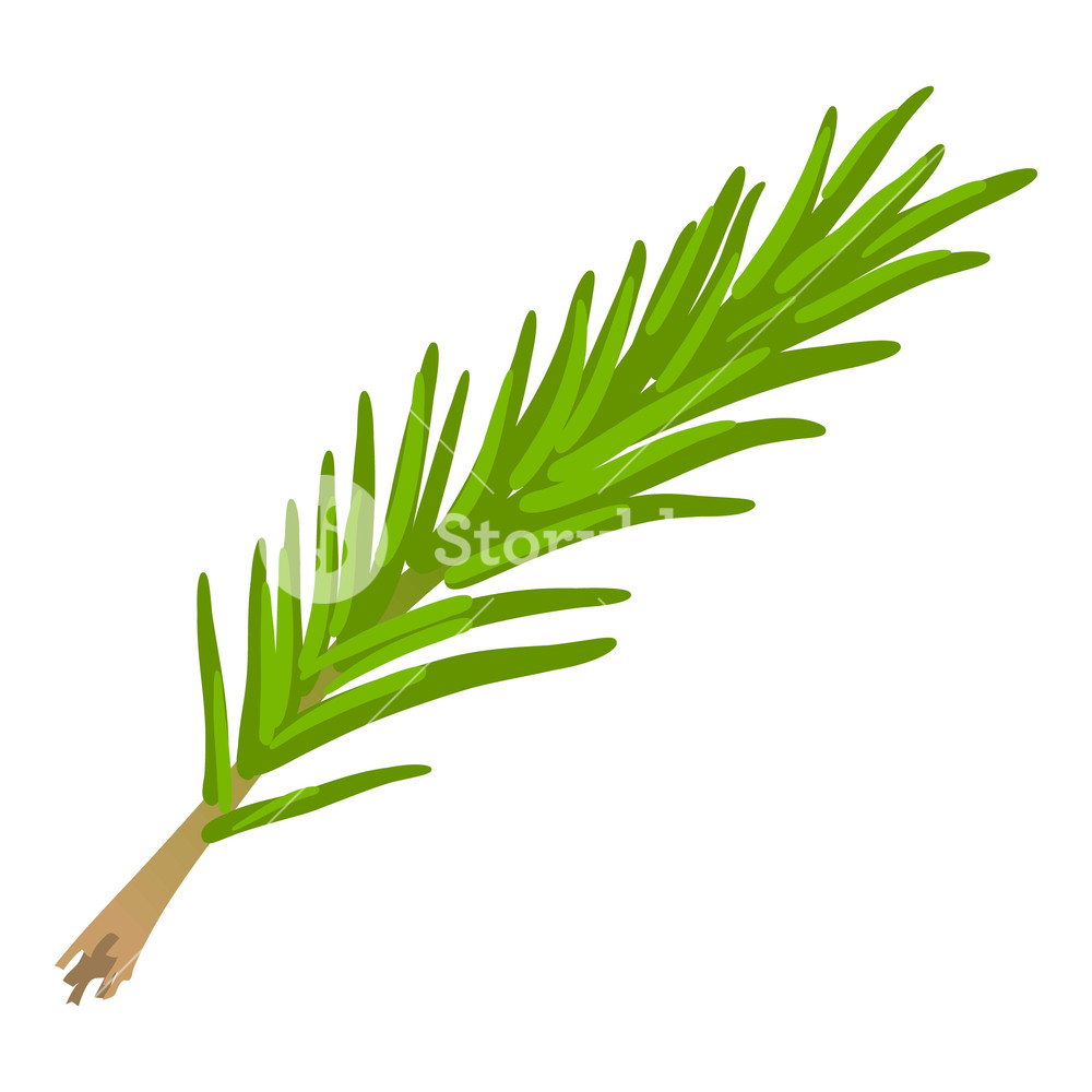 1000x1000 Rosemary Icon Cartoon Illustration Of Rosemary Vector Icon