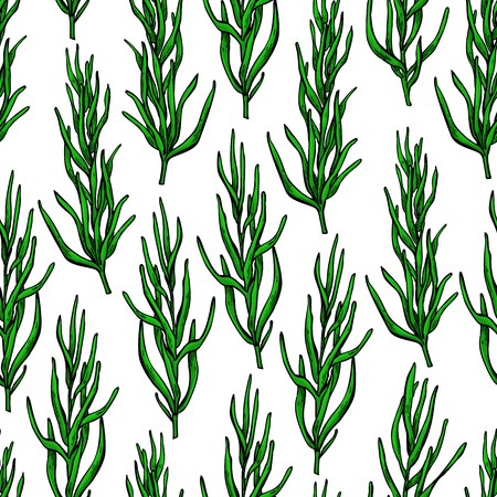 450x450 Rosemary Vector Drawing Seamless Pattern Isolated Plant With Le