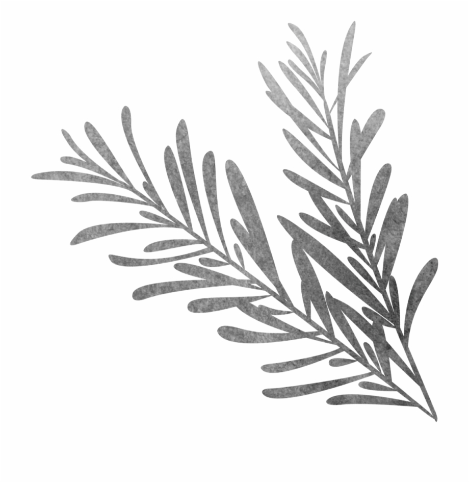 920x947 Vector Library Black And White Sketch Biological Grass