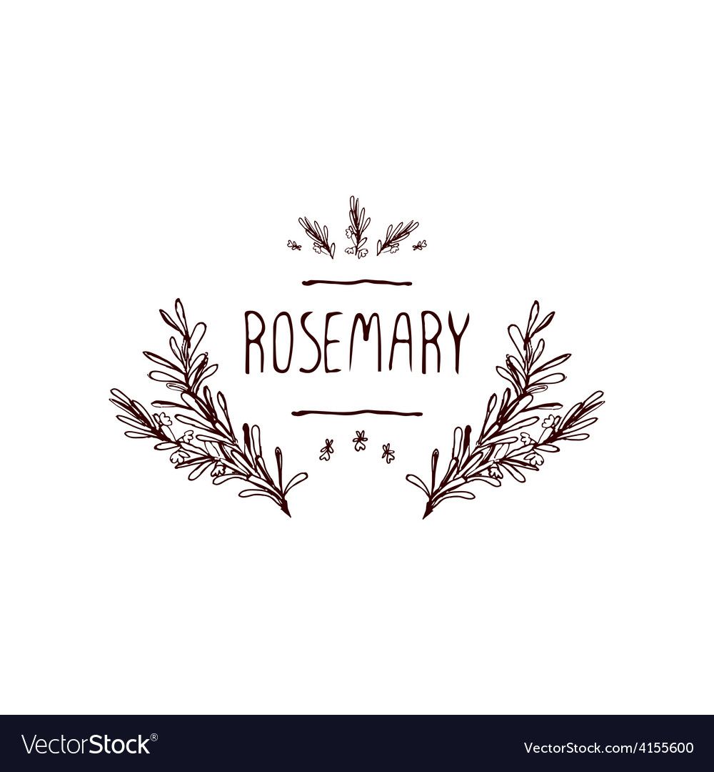 1000x1080 Herbs And Spices Collection